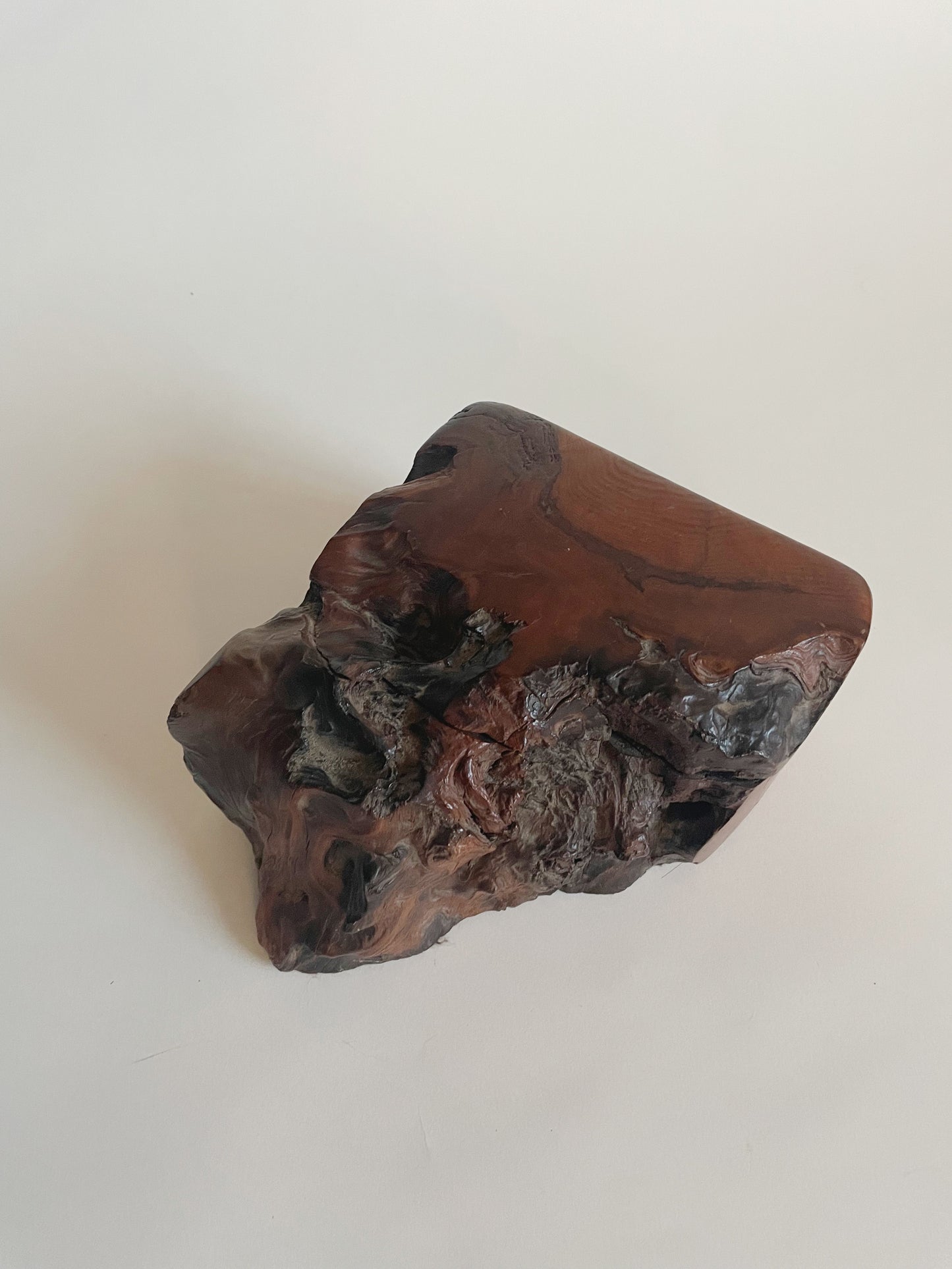 Wood Burl Box
