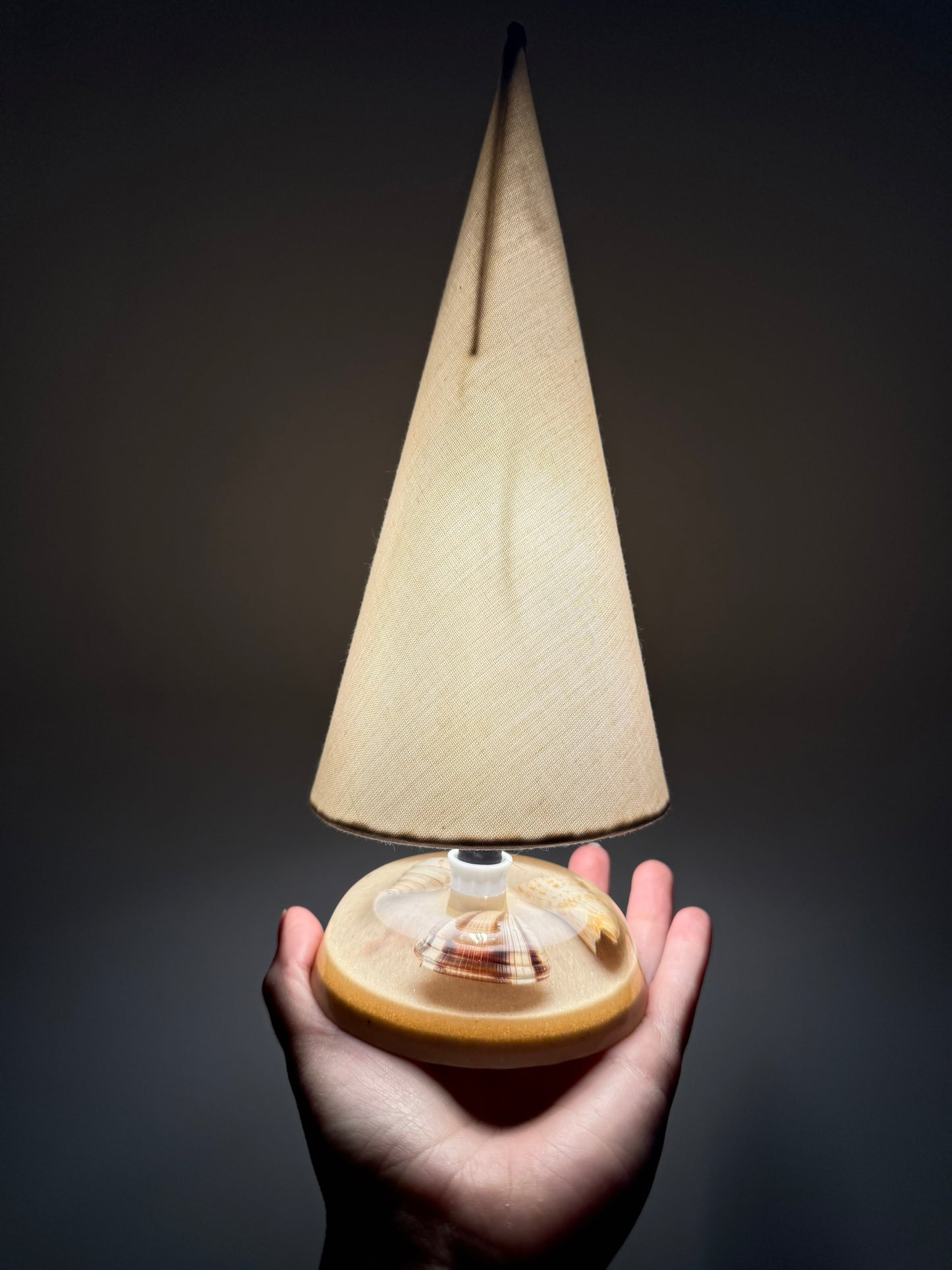 Encase Shell Lamps with Linen Shades