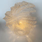 Spun Acrylic Clam Shell Shaped Lamp