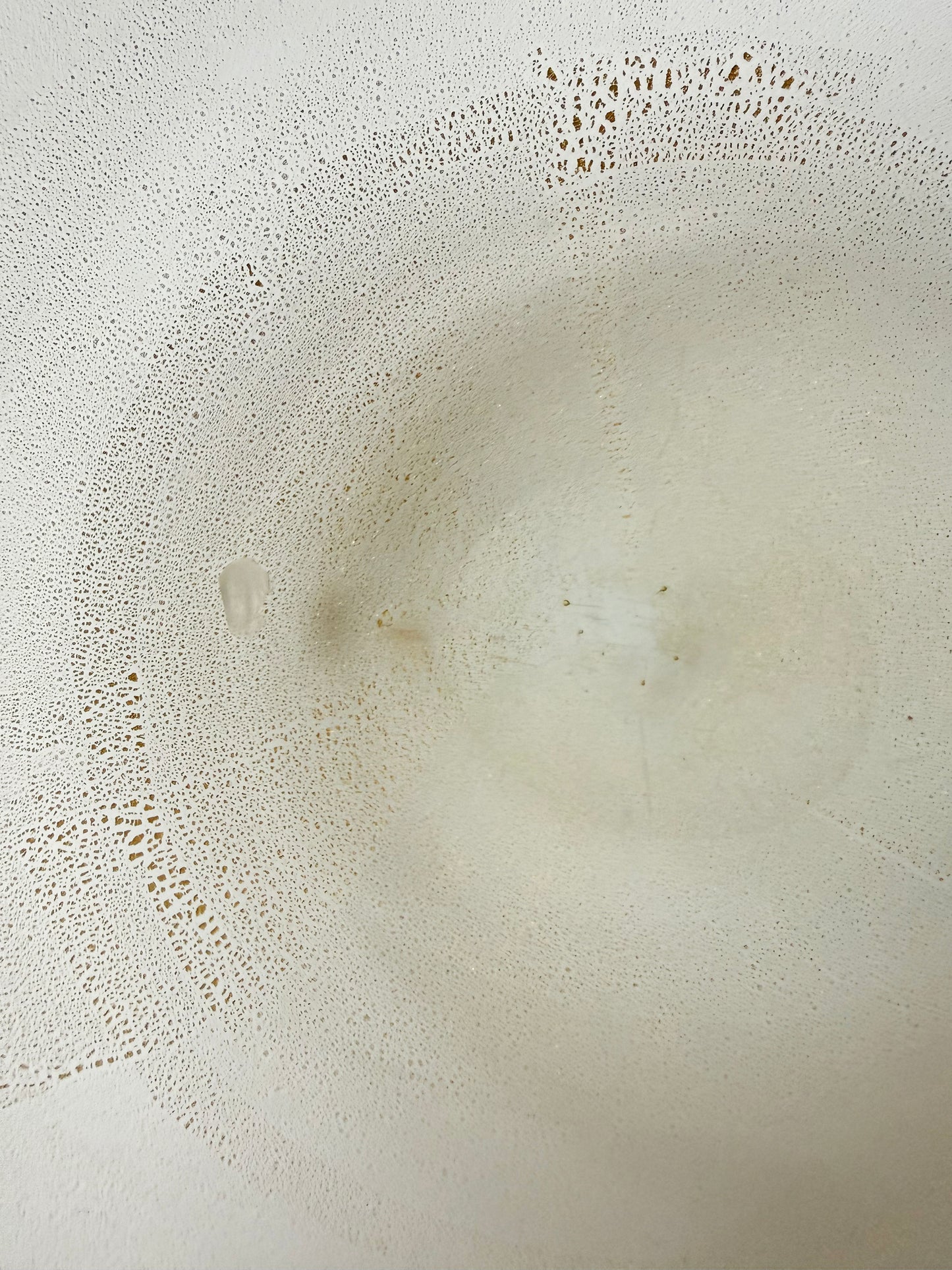 Large Murano Dish