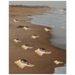 Archival Linen Print Unison